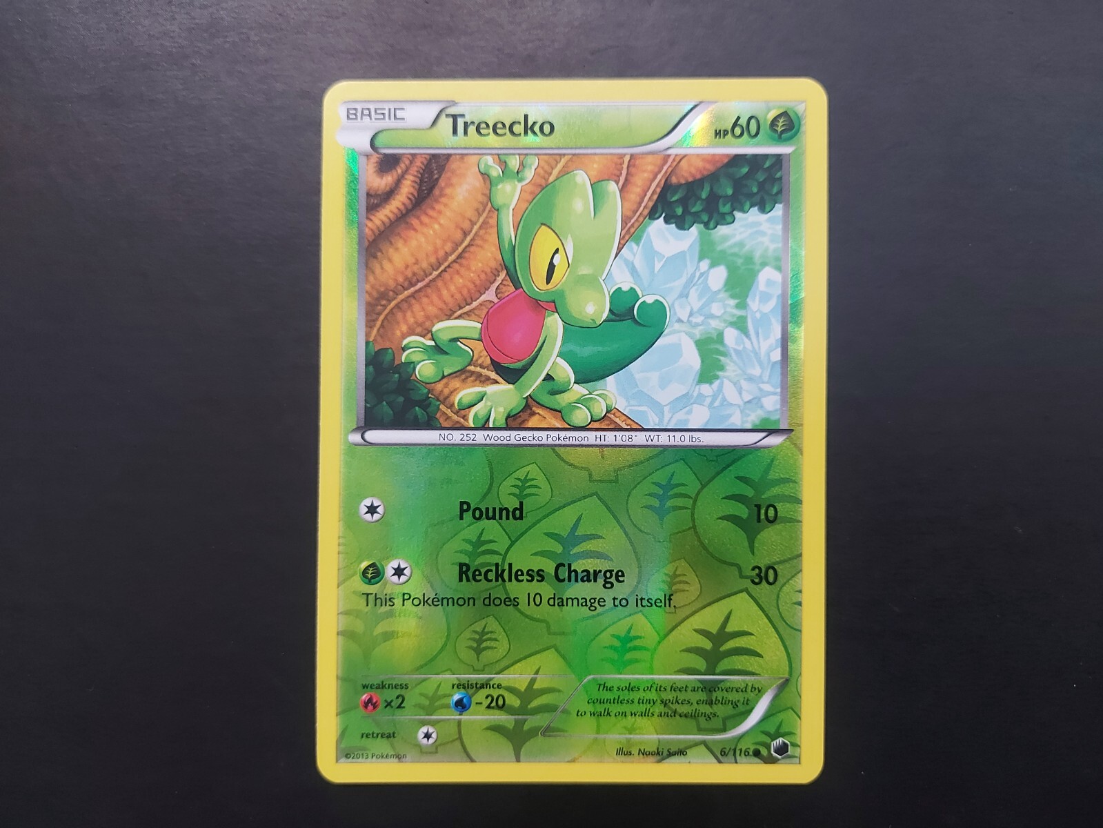 Pokemon - Treecko 6/116 Reverse Holo Black & White: Plasma Freeze