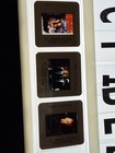Pulp Fiction Buena Vista Press Kit Rare Film Slides Photo Stills Promo Tarantino — photo 8