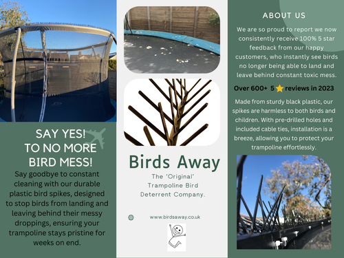 Fence Spikes - Bird Deterrent - Anti Pigeon Spikes - Effective & Easy to Mount - Picture 2 of 6