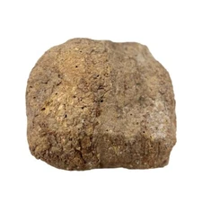 Beautiful Chechen Burl Cap 12" x 11" x 4", 14 lbs #502