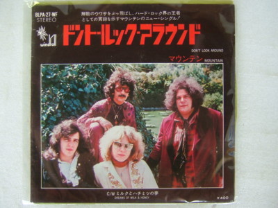 ヤヨマウンテンビューページ MOUNTAIN DON'T LOOK AROUND / JAPAN 7INCH | eBay