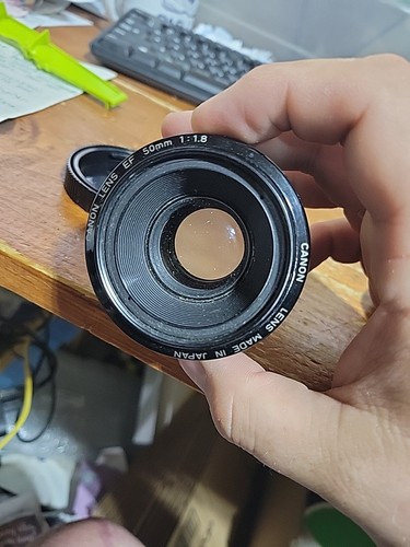 Canon Lens EF 50mm f/1.8 - Bild 5 von 5