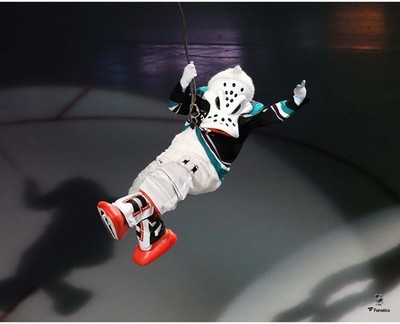 Wild Wing Anaheim Ducks Unsigned Pregame Rappelling Entrance Photo