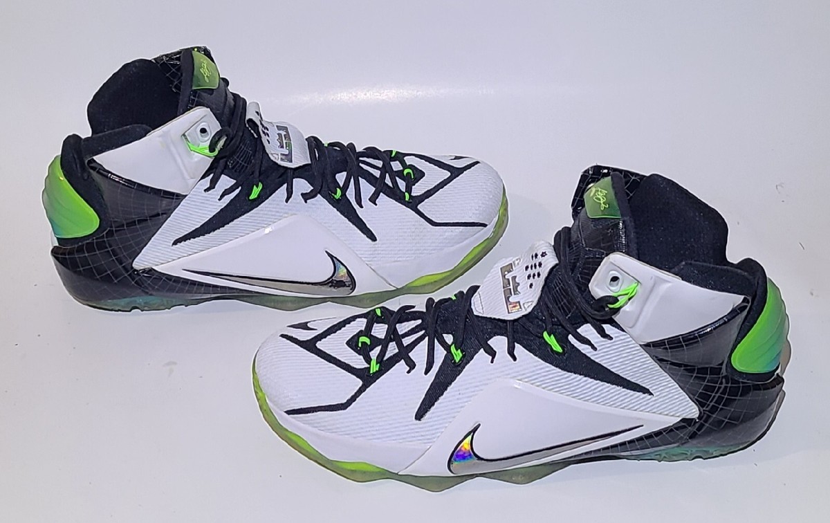 lebron 11 space jam