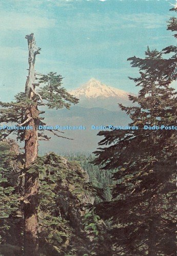 D085410 Scenic Oregon. Der schneebedeckte Gipfel des schönen Mt. Kapuze. elevation 11