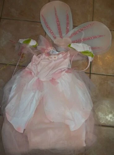 Pottery Barn 完整装备童话女孩演出服