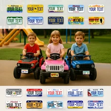 Custom Mini state Plates | All 50 Sates | 4x2 - 6x3 | name plates for bicycle