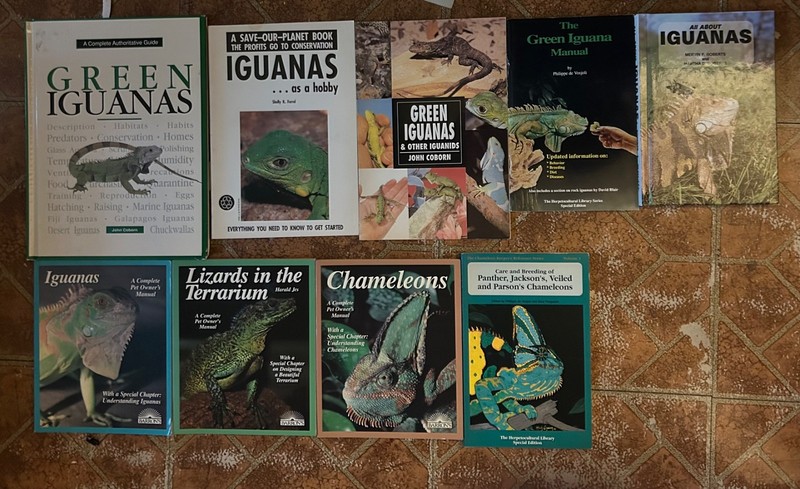 Lot of 9 Reptile Books – Green Iguanas, Chameleons, Lizards Terrarium Care Manua