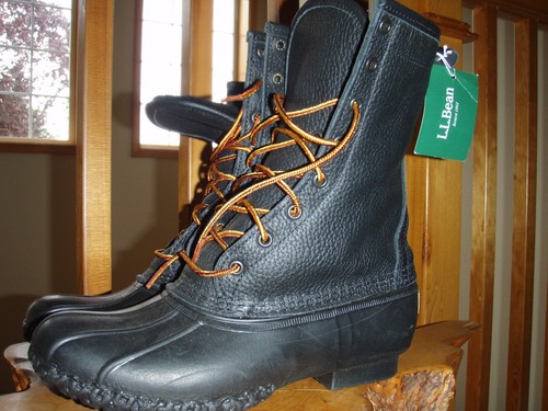 L.L. Bean Signature 10\
