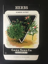 1920s Litho Antique Vintage Card Seed Co. Packet Pack Herbs Summer Savory Unused