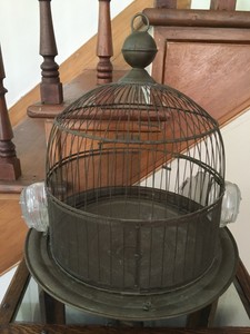 dr marty's cat food reviews