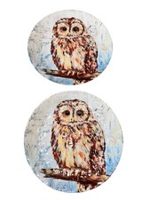 2 Pier 1 Imports Ironstone Owl Salad Plates Dimpled Glossy 8.75?