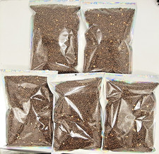 Fishing Tares Bait Carp Coarse Unprepared Bulk River Lake Pond Job Lot