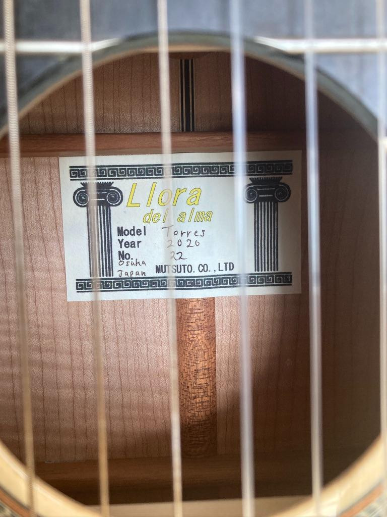 Llora Del Alma Torres Model | eBay 