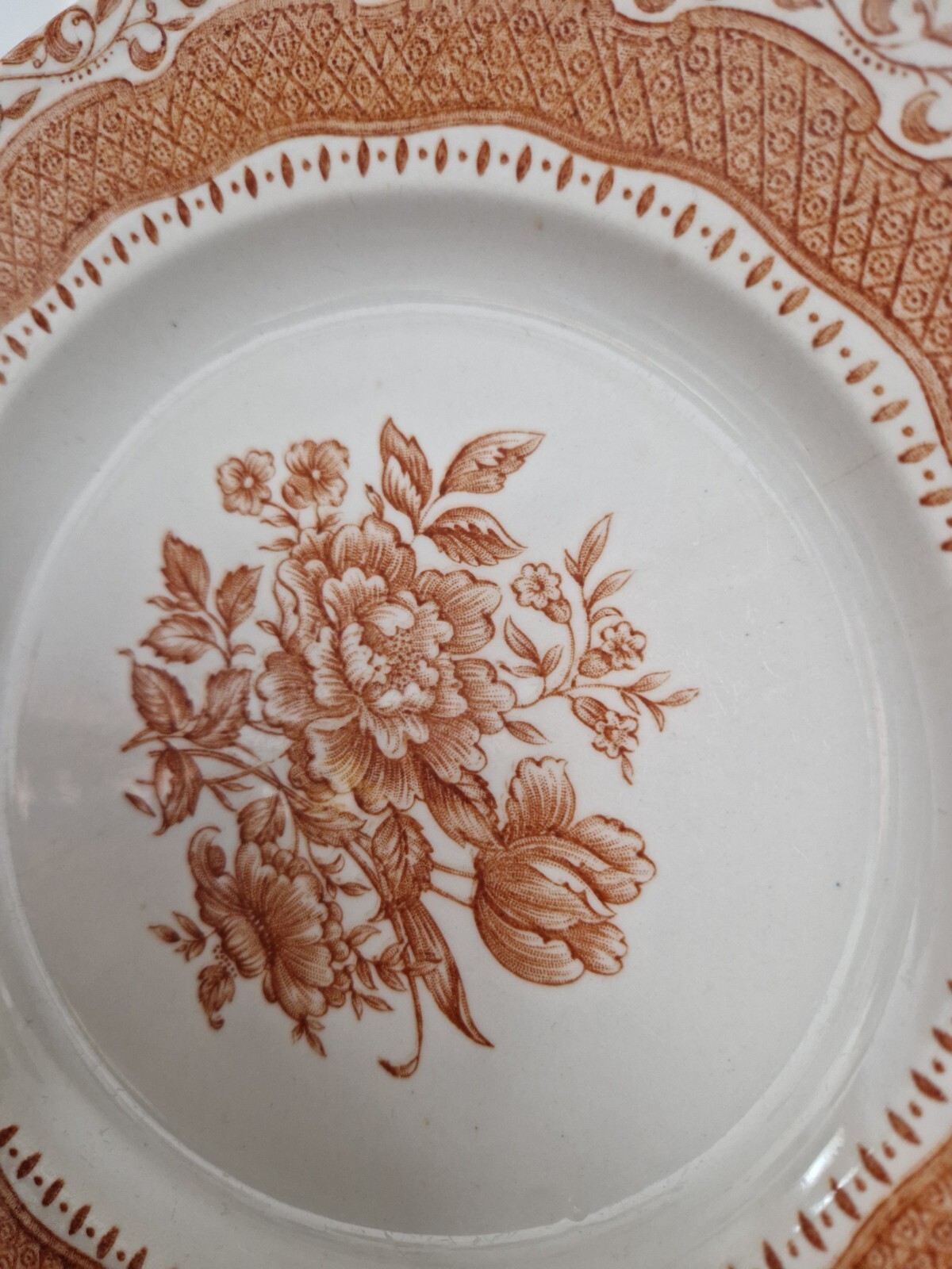Vintage Staffordshire English Ironstone Tableware Brown Floral Display