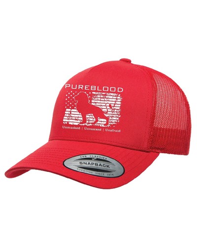 RED BULL Racing F1 patch x New Yupoong Hat flatbill trucker  display picture 1