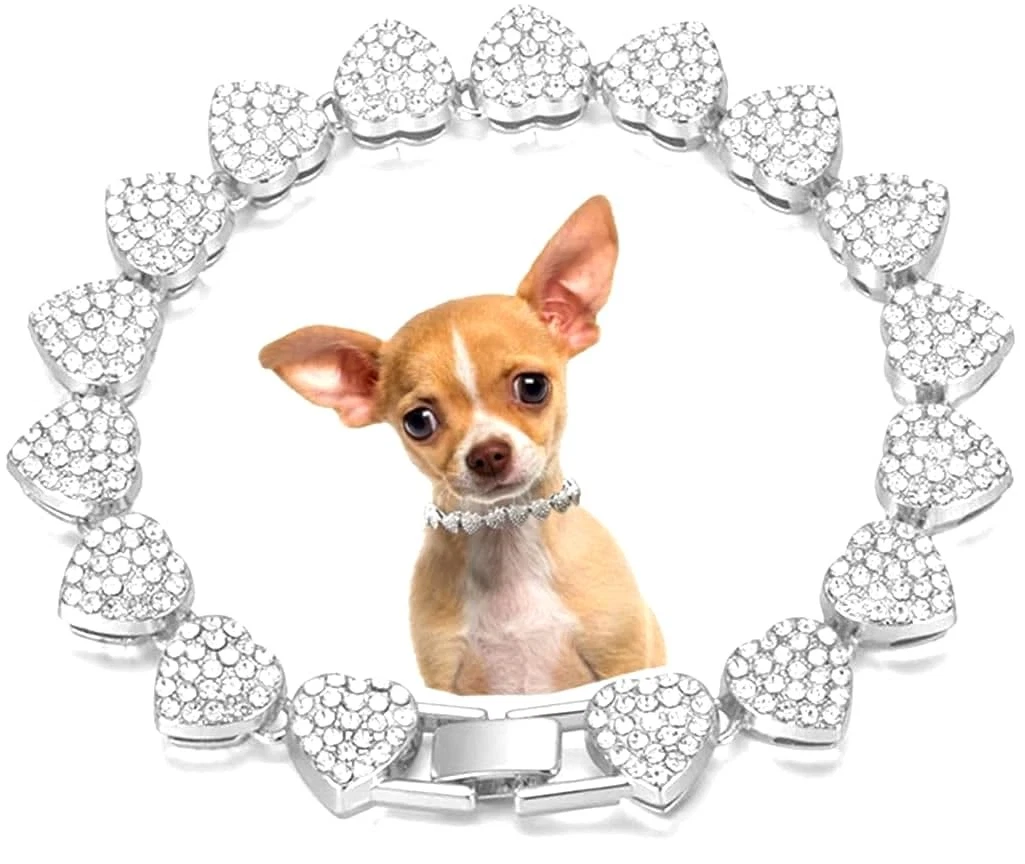 Pitbull Chain for sale | eBay
