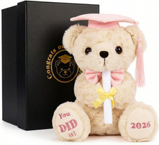 Pink 2026 Graduation Bear, 8in Teddy with Cap, Diploma  Gift Box