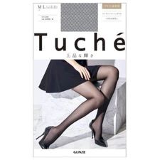 GUNZE Stockings Tuche Lot of 10 Set "Shiny Mesh Diamond Pattern" From Japan F/S