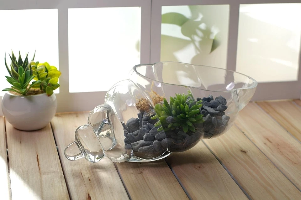 Jarrón con carcasa de vidrio de 8 pulgadas de largo ideal para bodas spa aromaterapia floral Foto 3 de 4