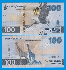 Zambia 100 Kwacha, P 65, New 2024 (2025) UNC Giraffe