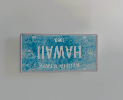 Hawaii Novelty License Plate Metal Hawaiian Sign 12