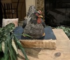Picture 3 of 8