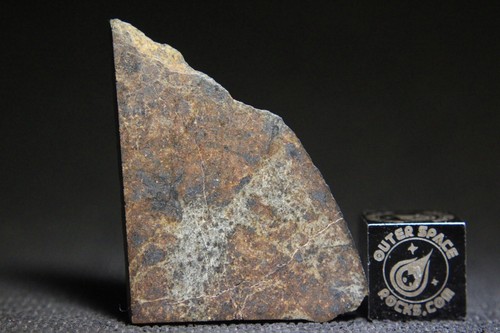 NWA 13509 LL4-6 Chondrite Meteorite 5.8 gram part slice