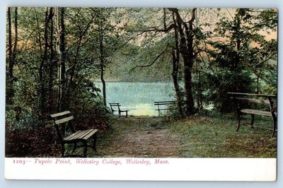 c1905 Wellesley Massachusetts MA Vintage Postcard Tupelo Point College Building