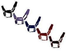 HORSE HALTER Nylon with FLEECE Covered Nose Crown Cheek Adjustable
