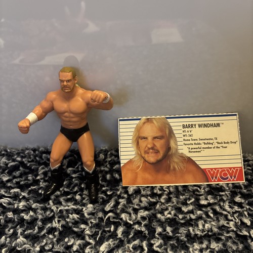 WCW Barry Windham Galoob Wrestling Figure Vintage ...