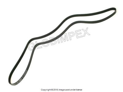 Jaguar S-Type SuperV8 Vanden Plas XF XJ8 XJR XK (2002-2010) Drive Belt GATES