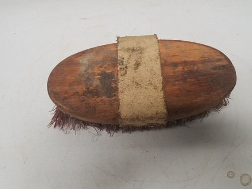 Horse Grooming Brush (V)