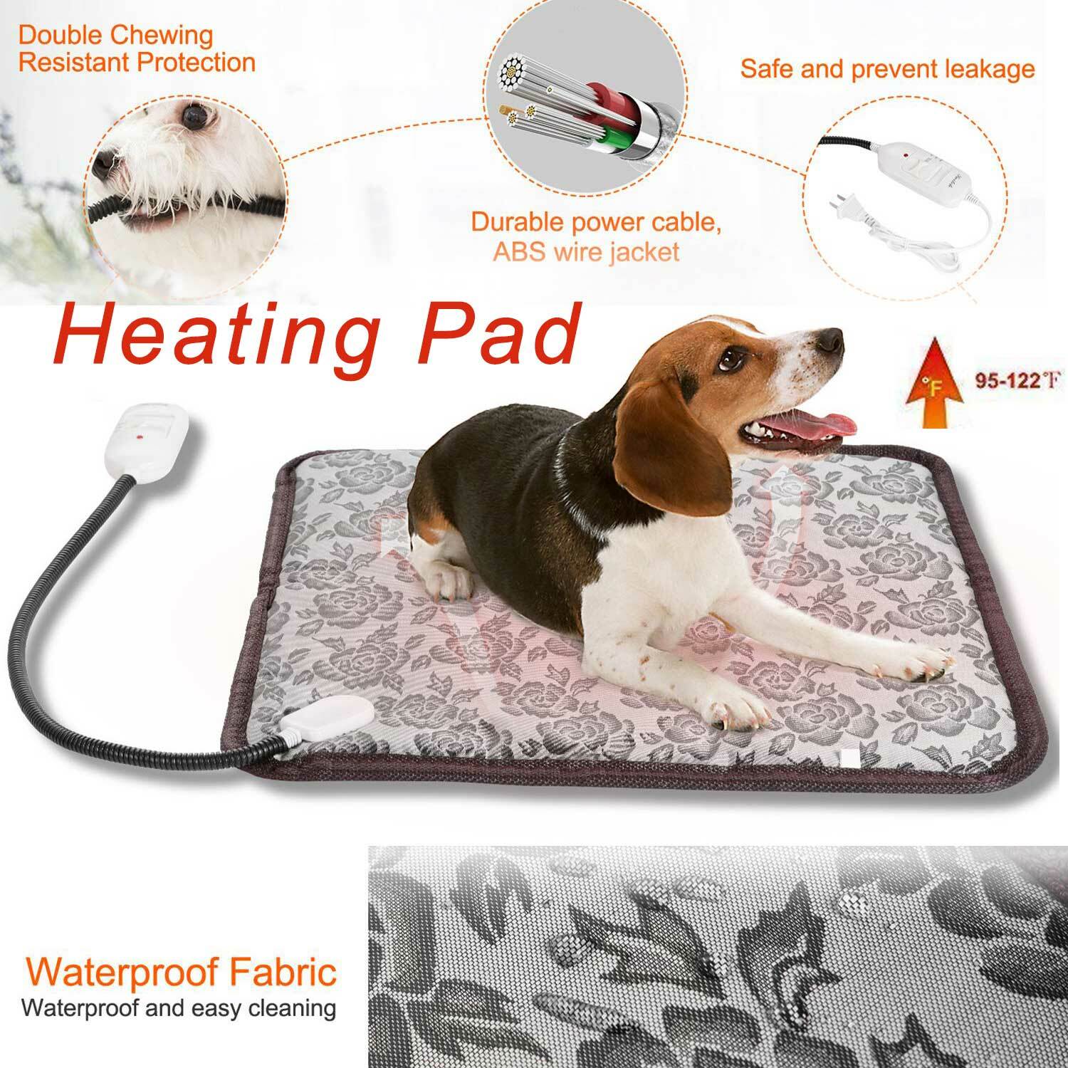 cheapest nutro dog food