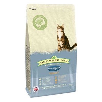 pictures of chihuahua puppies