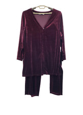 Women's 3 Piece Top Skirt Pant  Set 26/28,  Velour Burgundy Party Outfit
