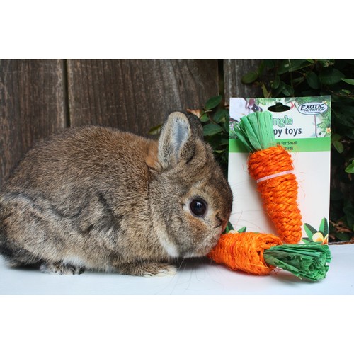 Woven Grass Carrot Chew - Small Pet Chew Toy - Hedgehog, Chinchilla, Guinea Pig - Picture 10 of 12