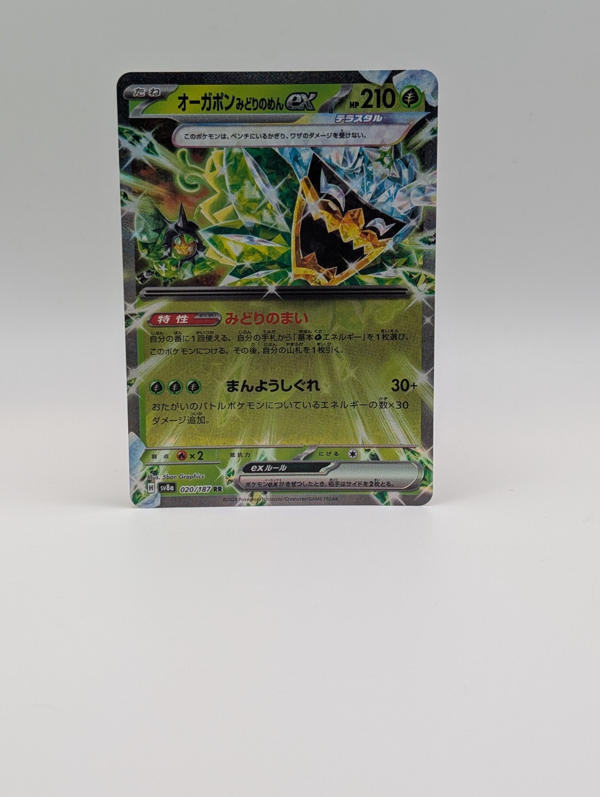 Teal Mask Ogerpon ex Holo 020/187 Sv8a Pokemon Terastal NM-image
