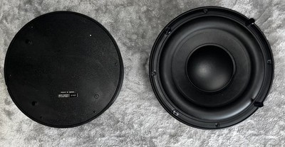 Anthony Gallo Acoustics MPS 150 Wired Home Audio Powered Subwoofer