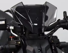 CUPOLINO NAKED N.G. SPORT KTM 1290 SUPERDUKE R 2020-2023 FUMÈ CHIARO GRIGIO