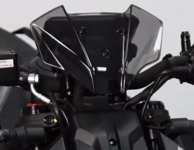 CUPOLINO NAKED N.G. SPORT KTM 1290 SUPERDUKE RR 2021-2023 HELLRAUCHGRAU