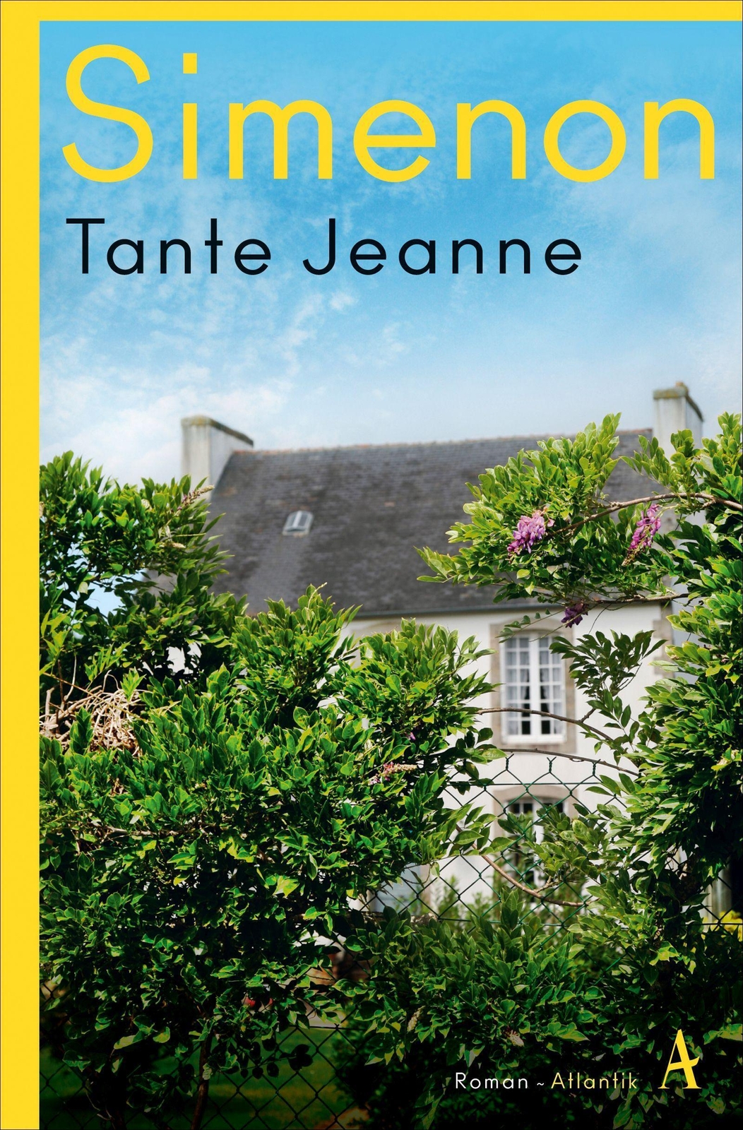 Thumbnail - Tante Jeanne | Roman | Georges Simenon | Deutsch | Taschenbuch | 224