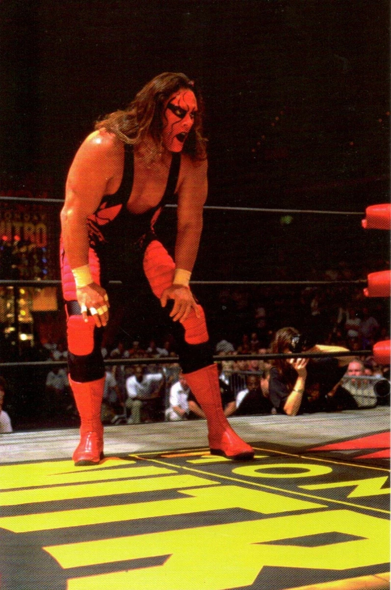 Sting WWE Wrestling Photos for sale | eBay