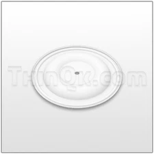 V163TF Versamatic Diaphragm; PTFE Material (white)