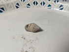 Dug Civil War era carved  bullet