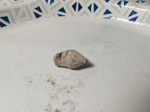 Dug Civil War era carved  bullet