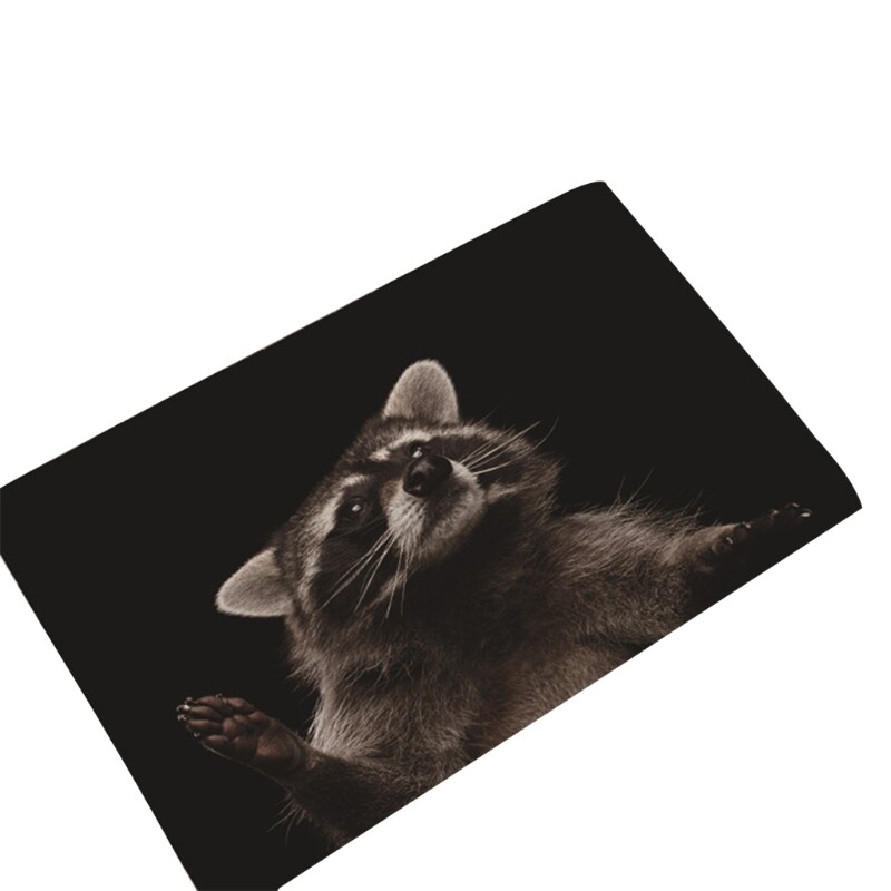 40x60cm Dog Pattern Carpet Door Mat Doormat Kitchen Floor Mat Rug eBay