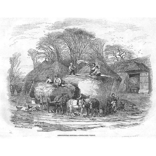 Victorian Agricultural Scene Unstacking Wheat - Antique Print 1846