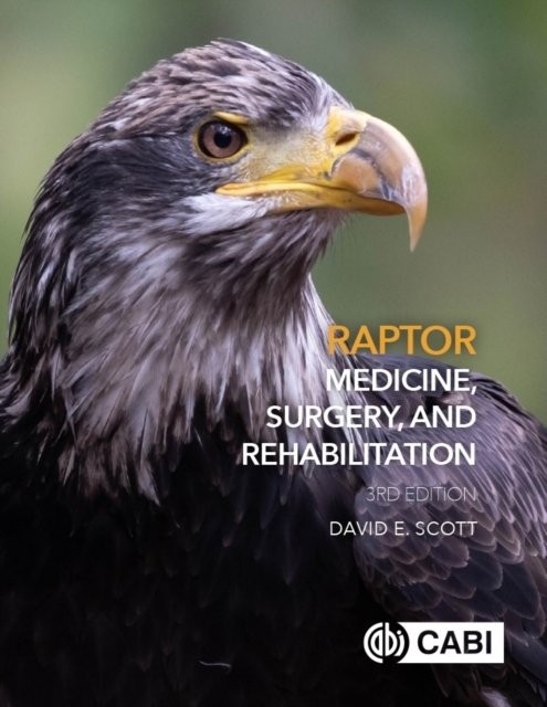 Raptor Medicine, Surgery, and Rehabilitation by David Scott - - Image 5