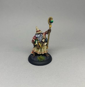 Luwin Phost, Wizard - Reaper Miniatures - PAINTING COMMISSION